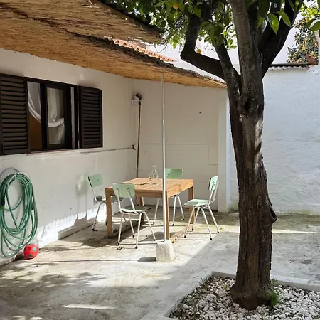 Holiday home Lemon And Avocado House