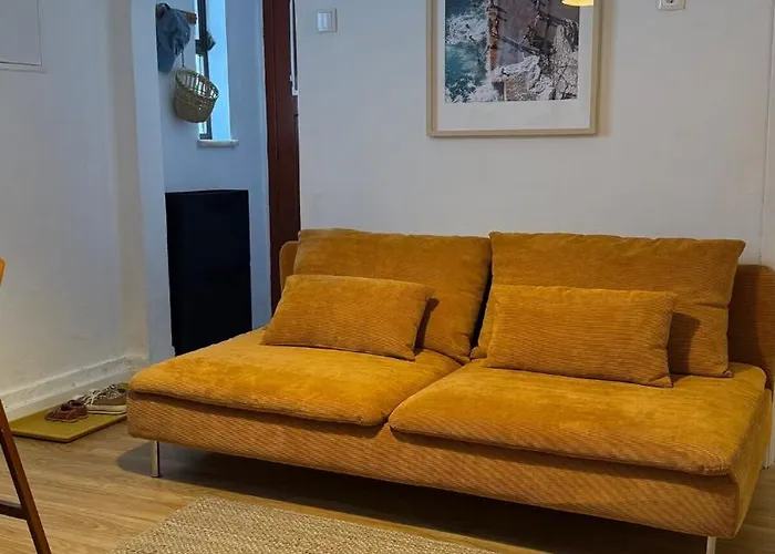 Lemon And Avocado House *